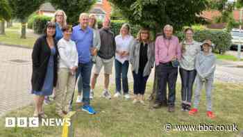 Death sentence for trees in Crick near Daventry is lifted