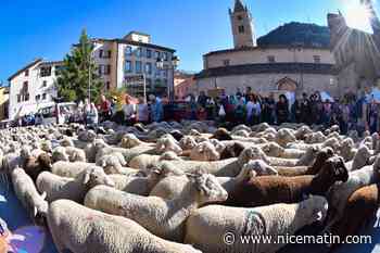 Exposition, ateliers, spectacle... Voici le programme de la 13e Fête de la brebis brigasque qui débute dimanche à La Brigue