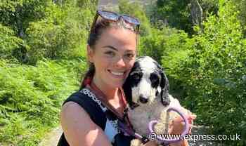 ‘I turned my dog walking side hustle into a £2,500 business - it’s my dream job!’