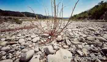 Sécheresse: la recharge des nappes phréatiques retardée, 2024 déjà compromise?