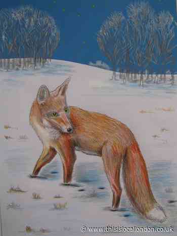 Nature Notes: It's mating season for our foxes