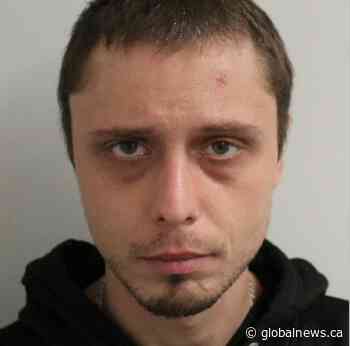 Alert ended for man carrying firearm in N.B., suspect still at large: police