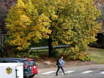 Edmonton weather: Cloudy start to the day but should clear up nicely