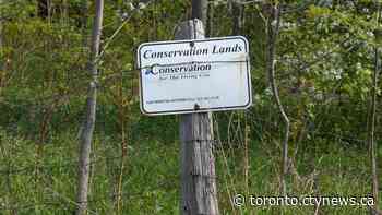 Ford government to move Ontario Greenbelt legislation forward Monday amid RCMP investigation