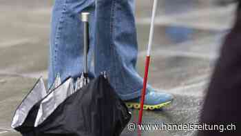 EU-Rechnungshof: Gleichstellung von Menschen mit Behinderung stockt