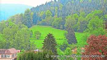 Gemeinderat Höfen: Auch an Schutz der Natur denken