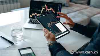 Kommt es zu einer Jahresendrallye an den Börsen? Das meint die cash-Leserschaft