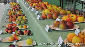 Apfel- und Pilzausstellung ist im Autohaus zu sehen