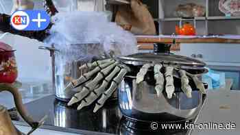 Halloween in Bad Segeberg: „Friedhof der Kuscheltiere“ startet beim Tierschutz