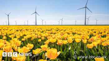 Warning AI industry could use as much energy as the Netherlands