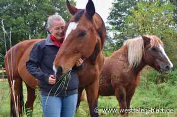 Ein Besuch auf dem Gnadenhof Steinmeier in Willebadessen-Niesen