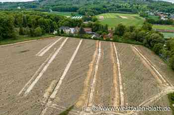 Steigende Baukosten: Wie begehrt sind Grundstücke am Blotenberg in Werther?