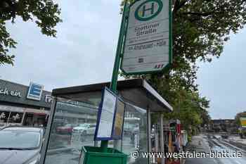 Wie mobil ist Steinhagen ohne Auto und Rad?