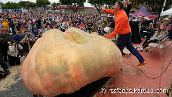My gourd! Massive Minnesota pumpkin sets new world record