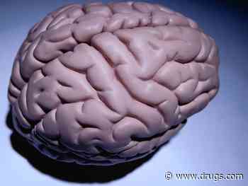 Human 'Brain Cell Atlas' Brings New Insight Into Brain Health, Illness