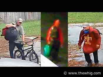 Kingston Police searching for suspect of multiple arsons