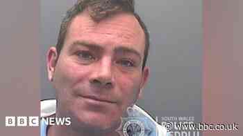 Bully XL: Merthyr dog owner jailed after Barry mauling