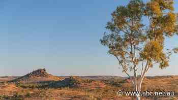 Mining to begin on Australia's biggest phosphate deposits amid global demand for fertiliser