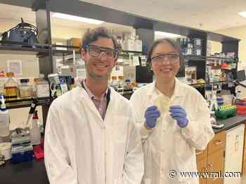 Area innovators hope to reduce the unnerving amount of microplastics Americans consume