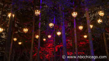 Tickets to ‘Illumination: Tree Lights at the Morton Arboretum' go on sale this month