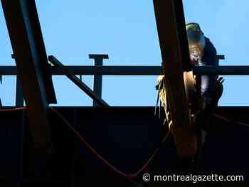 Artificial intelligence buy-in is lagging in Quebec, AI conference told