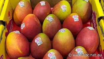 Yess! AhHa! Now! New names, new varieties of mango in supermarkets after years of development