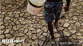 Amazon drought: Stranded boats and dead fish