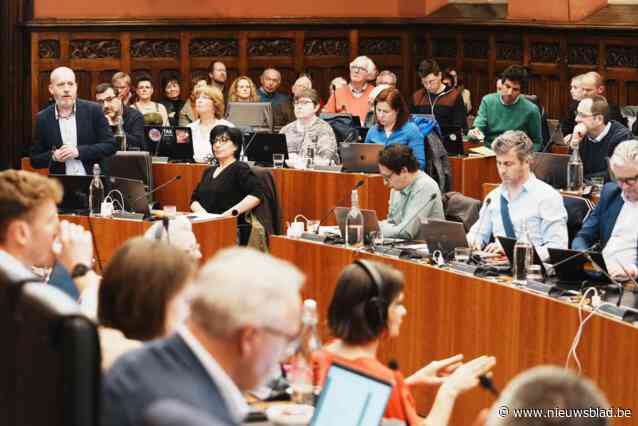 “Ik zit daar niet om mijn broek te slijten of een zitpenning te krijgen”: zijn raadsleden niet meer dan stemmachines of hebben ze wél iets te zeggen?