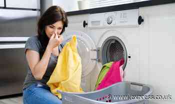 Natural 28p solution ‘removes musty smells’ from towels - and it’s not white vinegar