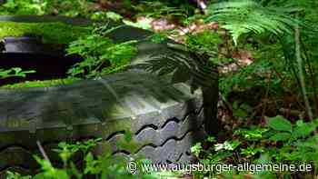 Reifen, Fernseher und anderen Müll illegal auf Feld entsorgt