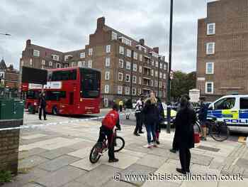 Woman hit by HGV in Homerton still fighting for life