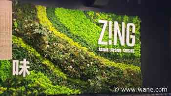 Be Our Guest – Z!NG Cuisine