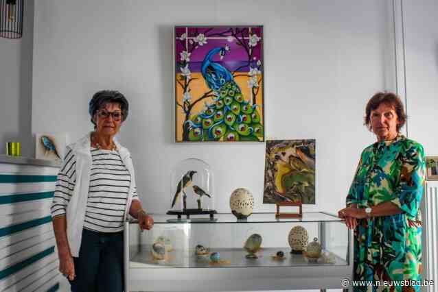 Zussen en wijlen vader Bocaege stellen samen kunst tentoon in Huis De Leeuw: “Eerste keer sinds zijn overlijden dat we zijn werken  bovenhalen”