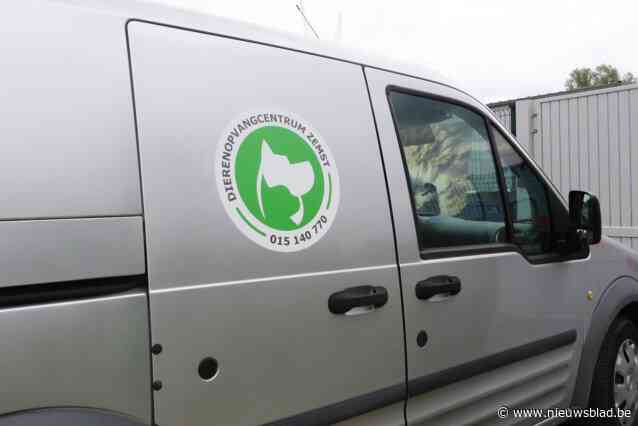 Gemeente stelt dierenopvangcentrum in gebreke na klachten en lasterbericht van uitbater op Facebook