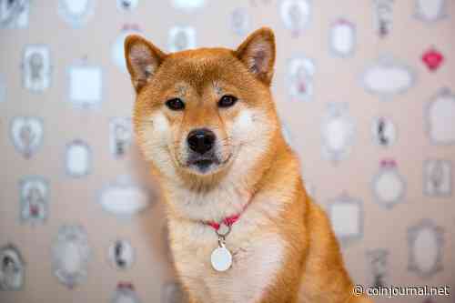 Dogecoin and Shiba Memu outlook as key DOGE metric stalls