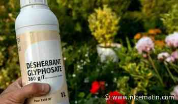Glyphosate au sein de l'Union européenne: pas d'accord sur une réautorisation, un nouveau vote programmé en novembre