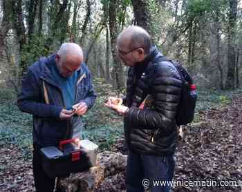 Apprenez à reconnaître les champignons toxiques, ce week-end au salon des champignons à Tourrette-Levens
