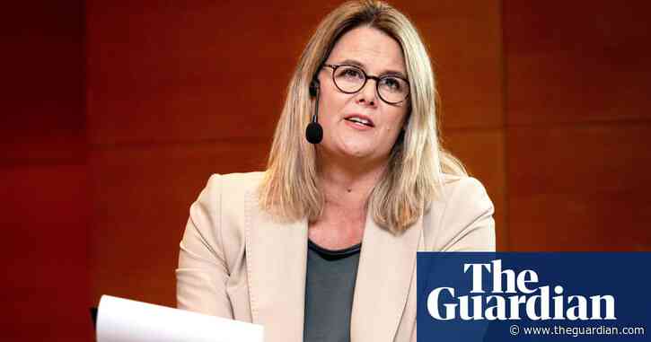 UN torture expert accuses private firms of making ever more cruel instruments