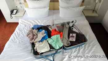 Bettwanzen als Urlaubssouvenir: Wenn man die Blutsauger mit nach Hause bringt