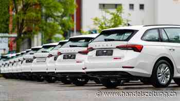 Die Hälfte fährt alternativ