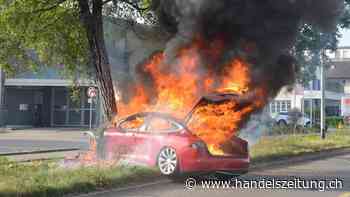 Viele Risiken gleichen sich aus