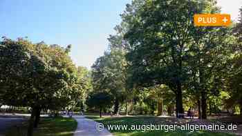 Die Herbstfärbung an den Bäumen setzt dieses Jahr später ein