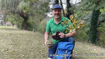 Wanderungen: Calwer bietet barrierefreie Touren im Schwarzwald an