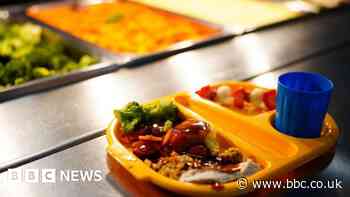 Schools and NHS caterers ‘must stop’ antibiotic overuse