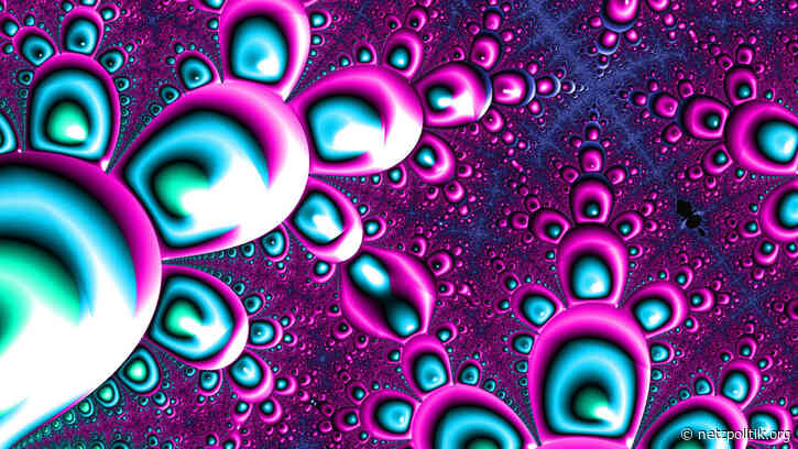 KW 40: Die Woche, in der wir einpacken konnten