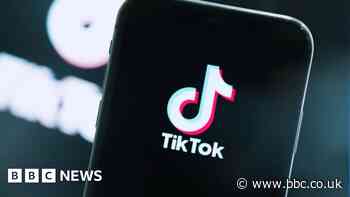 TikTok latest firm after X and Meta to be warned by EU over Hamas videos