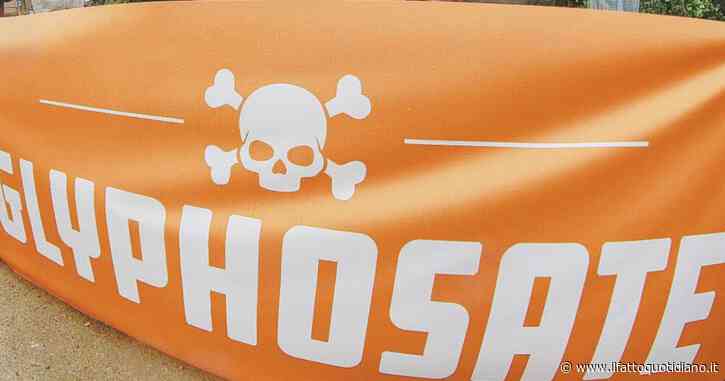 Glifosato, l’Italia vota a favore della proroga per l’utilizzo del pesticida ma il provvedimento non passa: manca la maggioranza