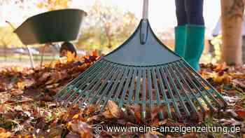 Gärtnern im Herbst: Fünf To-dos, die Sie noch vor Winteranbruch erledigt haben sollten