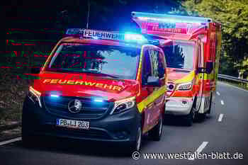 Frau stürzt Böschung an der Alme in Niederntudorf hinunter