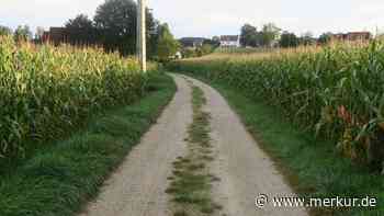 Diskussion über Schulweg geht weiter